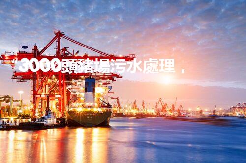 “3000頭豬場污水處理，綠色環(huán)保新篇章！”